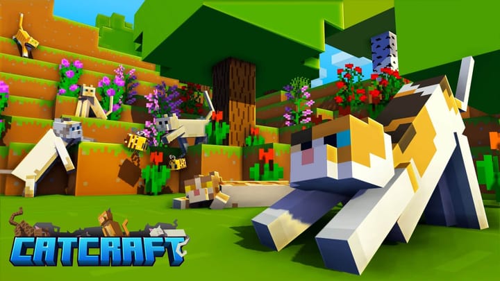 Texturepack